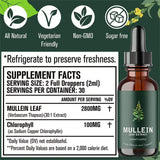 Lung Aid™ Mullein + Chlorophyll Organic Non-GMO Extract              .