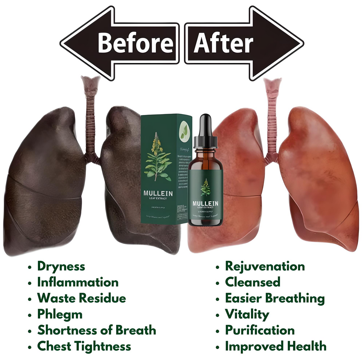 Lung Aid™ Mullein + Chlorophyll Organic Non-GMO Extract              .